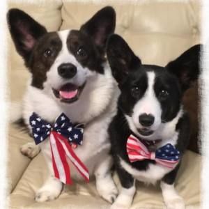 Meet your Posher, Betty